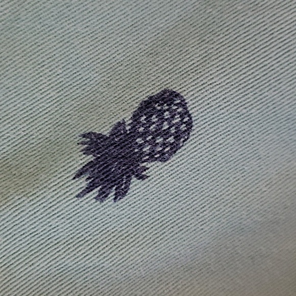 IZOD Salt Water pineapple men's shorts size 34 - Picture 6 of 6